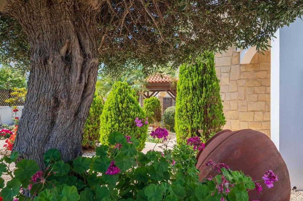 Villa Bimini Арґака Екстер'єр фото